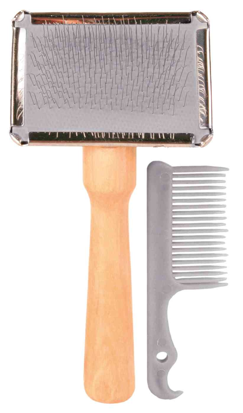 Soft Brush With Brush Cleaner
