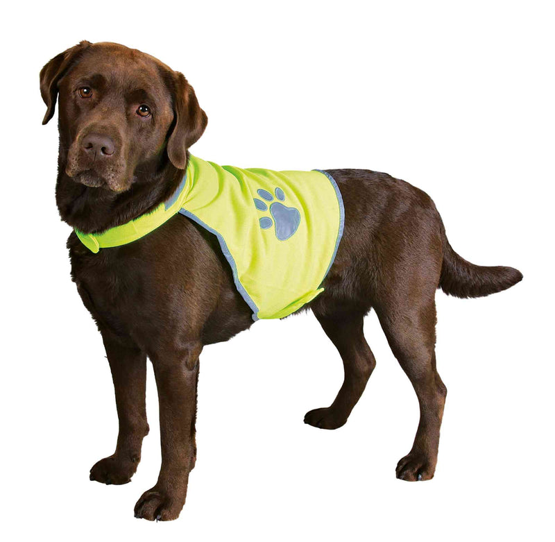 Safety Vest