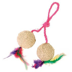 2 Balls on a Rope