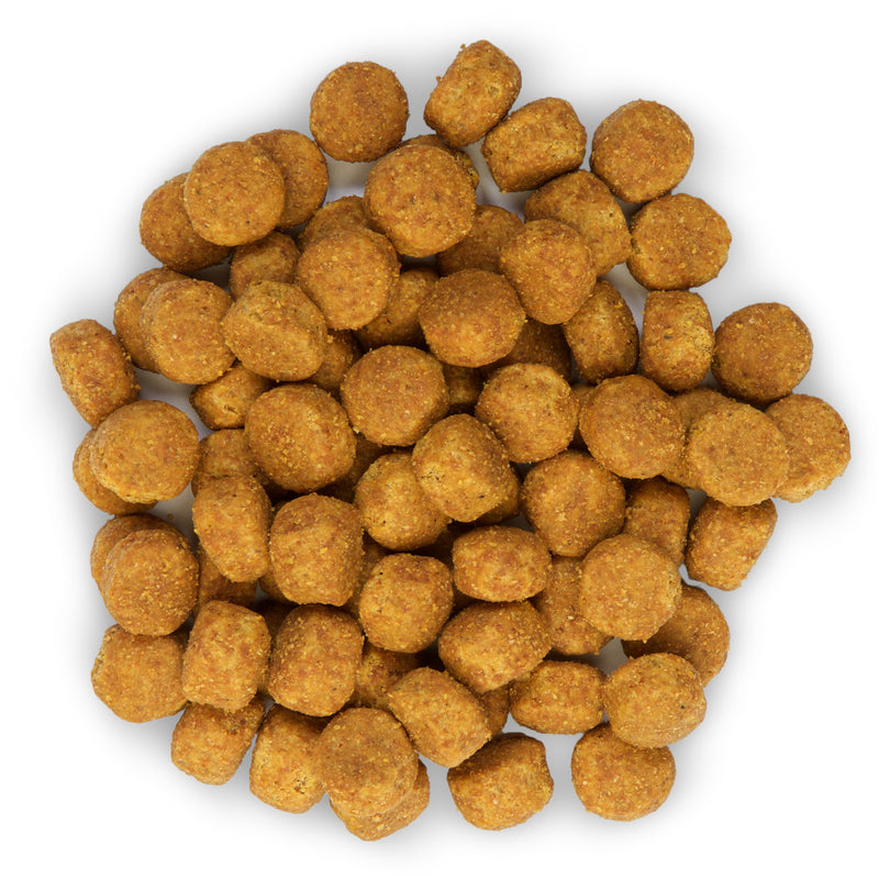 Hill's Science Plan Adult 1-6 Advanced Fitness Medium Dog Food with Chicken