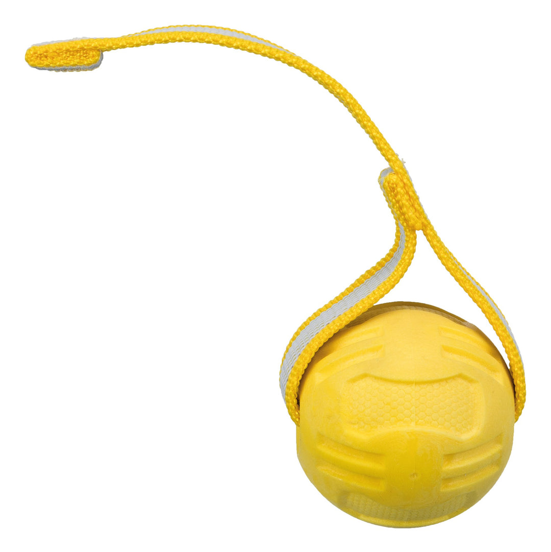Sporting Ball with strap