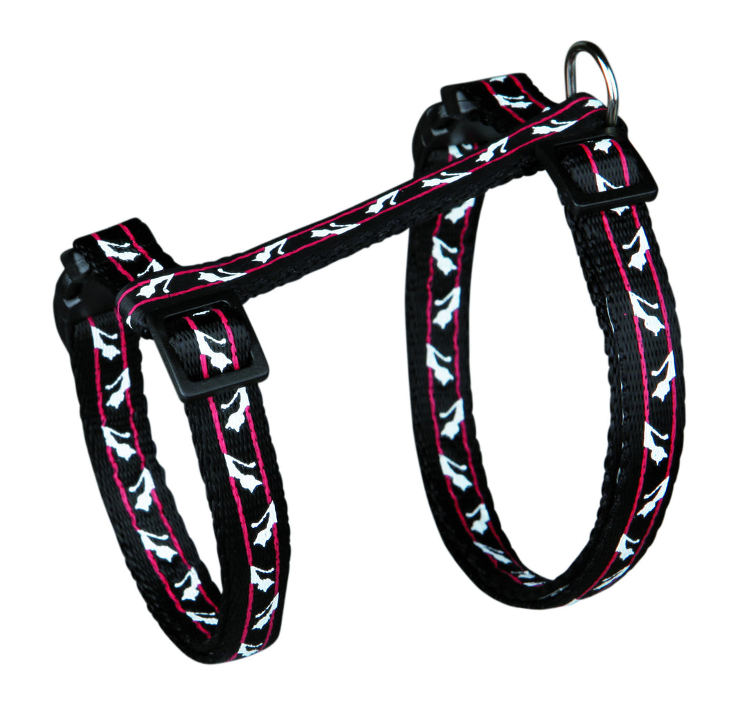 Harness with Leash