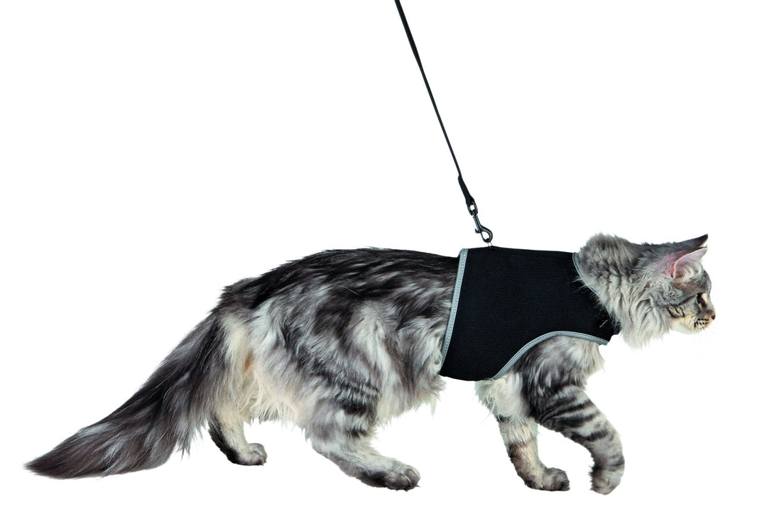 Soft harness with leash for cats, XL, 36-54 cm, 1.20 m, black
