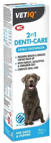 Vet Iq Advanced Toothpaste Dog (2 in 1 Denticare)