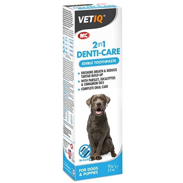 Vet IQ 2 in 1 Denti-Care 2 in 1 Tooth paste dog & cat, 70g