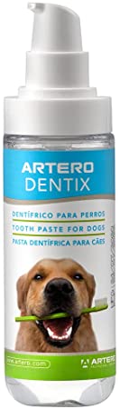 Artero Dentix Toothpaste, 106ml