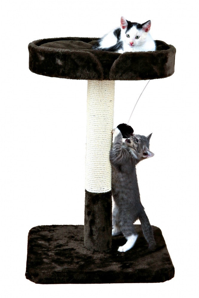 Raul Scratching Post