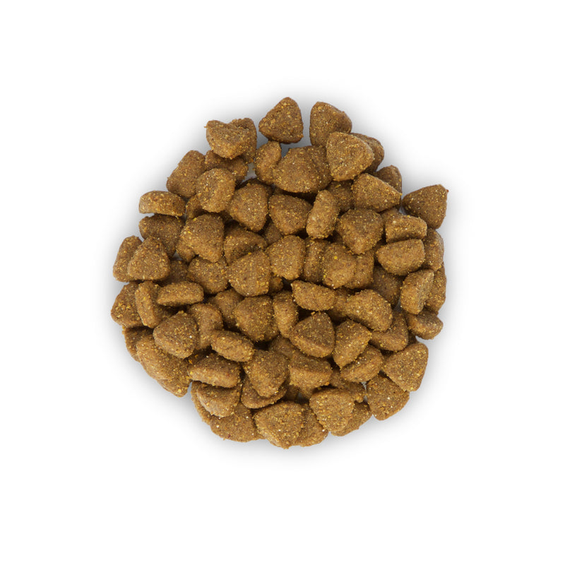 Hill's Science Plan Kitten Healthy Development cat food Chicken