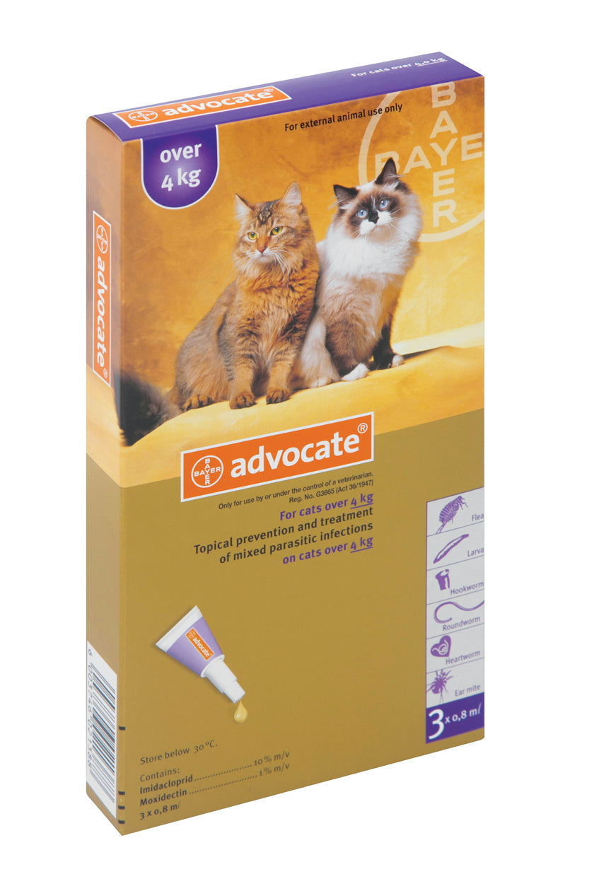 Advocate for Cats over 4 Kgs