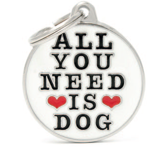 All you need is dog
