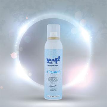 Yuup! Crystal Dry Shampoo