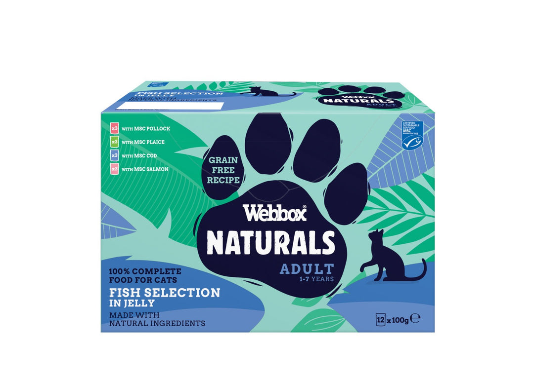 Webbox Natural Fish in Jelly Selection, 12 Pack