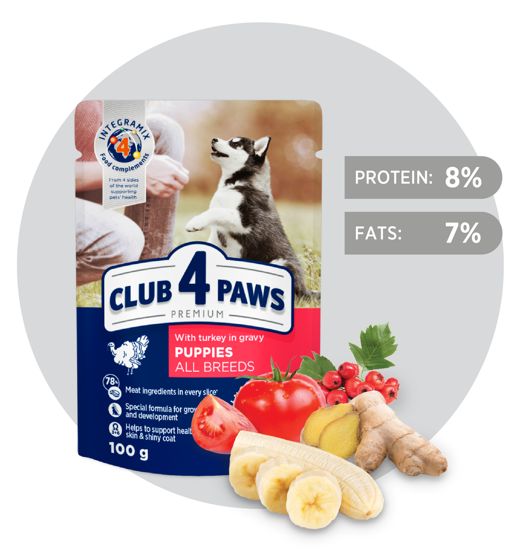 CLUB 4 PAWS Premium For Puppies, With Turkey in Gravy. Complete Wet Pet Food (6 Pack)