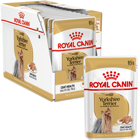 Royal canin Adult yorkshire terrier 12 pack pouches (12x85g)