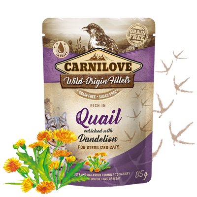 Carnilove cat pouches Rich in Quail enriched with Dandelion