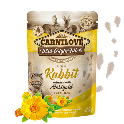 Carnilove cat pouches Rich in Rabbit enriched with Marigold ( For Kittens)