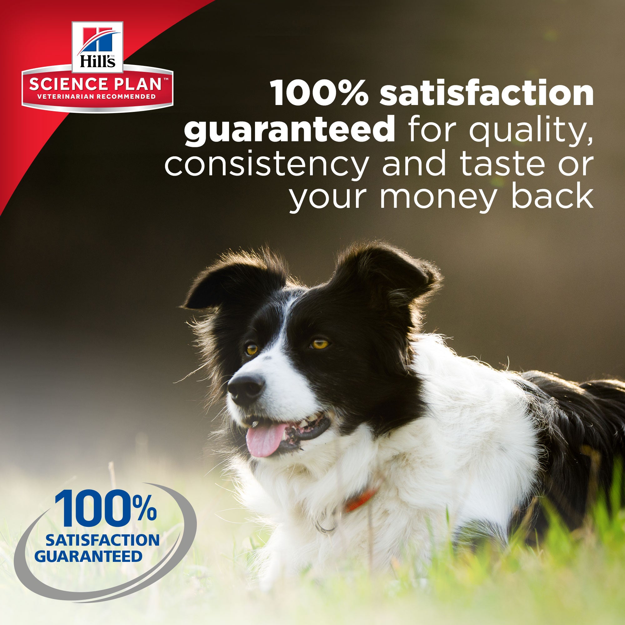 Science plan light dog food new arrivals