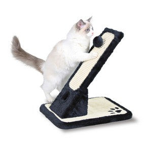 Scratching Board