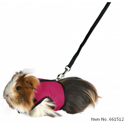 Soft Harness with Leash
