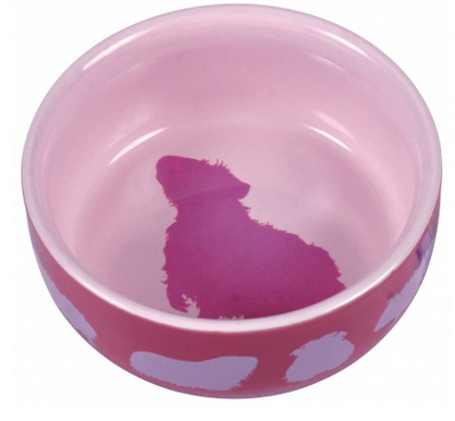 Ceramic Bowl