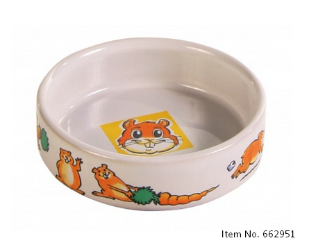Ceramic Bowl