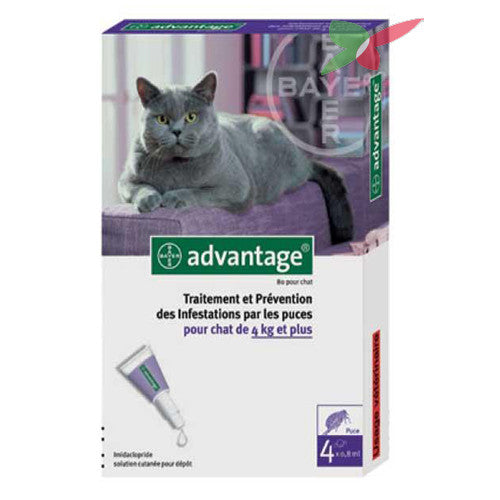 Advantage Cats Over 4 Kgs