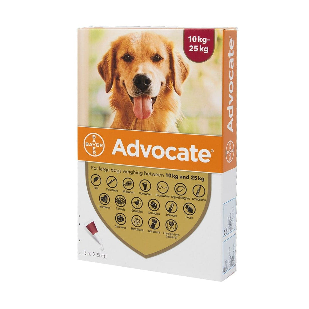 Bayer Advocate Dogs - 10 to 25 kg