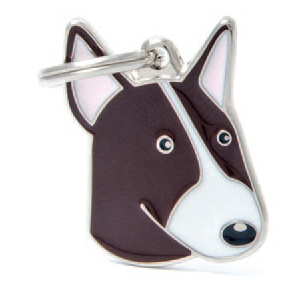 Bull Terrier (Brindle & White)