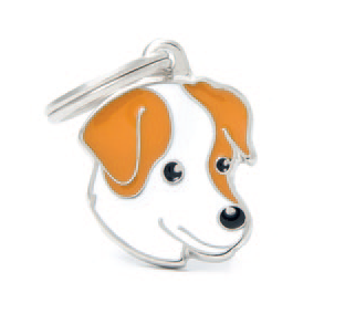 Jack Russell (brown & White)