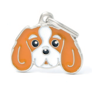 Cavalier King Charles (Blenheim)
