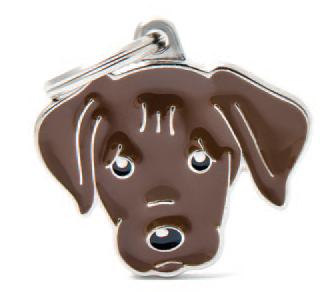 Labrador (Chocolate)