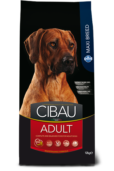 Cibau - Adult Maxi