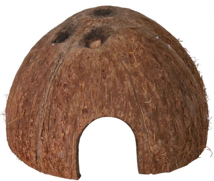 Coconut Hideaway Home