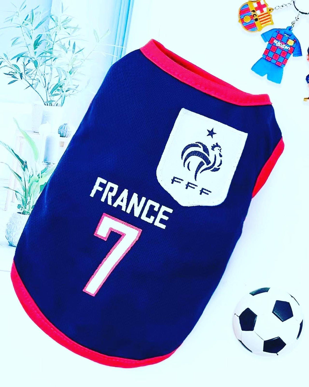 Football  Jersey - France