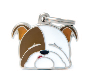 English Bulldog