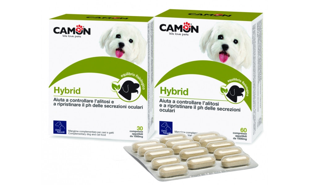 Camon Hybrid Tablets