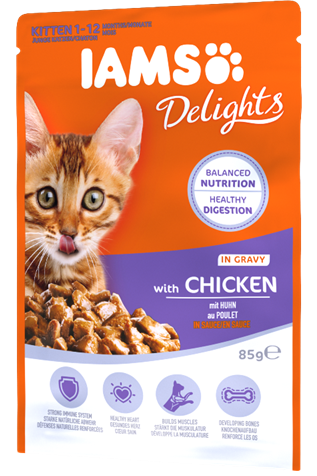 Iams pouches best sale
