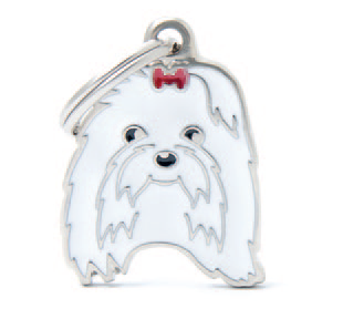 Maltese
