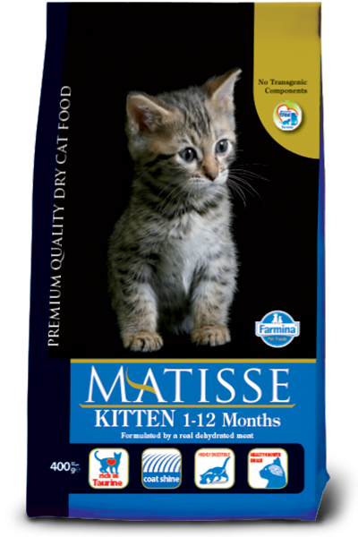 Matisse - Kitten