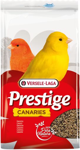 Versele Laga - Canary Prestige
