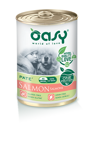 Oasy Pate One Protein, Salmon