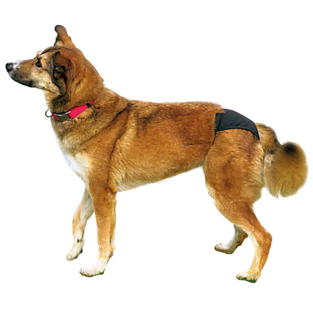 Protective pants for female dogs