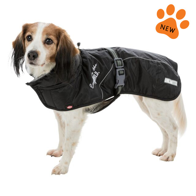 Explore Winter Raincoat for Dogs