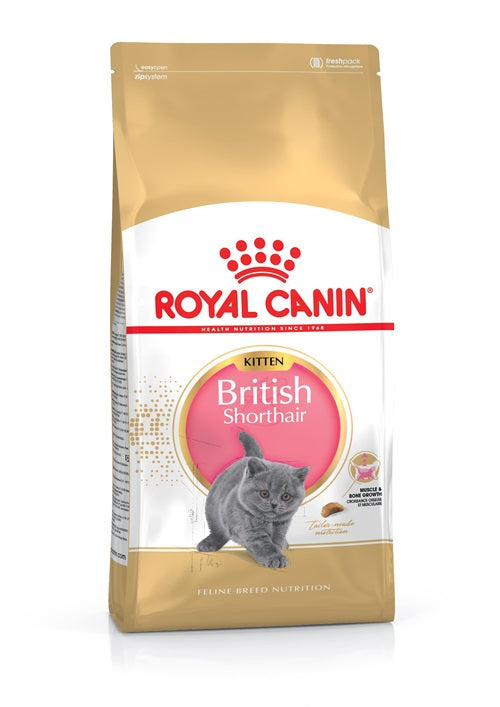 Royal Canin British short hair, Kitten