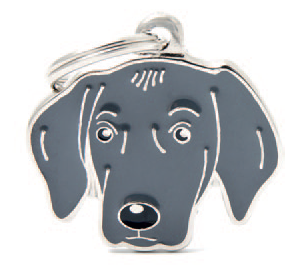 Weimaraner