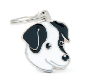 Jack Russell (black & White)